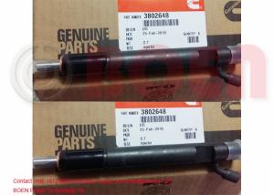 China Professional Cummins Injectors And Nozzles 3802648 6Ct For Dcec Diesel Engines factory