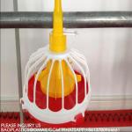 Agricultural Products Automatic Chicken Feeder Agricultural Greenhouses Animals