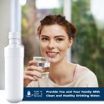 LT1000P French Door Refrigerator Water Filter Replacement Compatible with