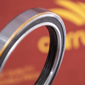 612630010106 engine oil seal Rustproof 1002052027 for Weichai WP12