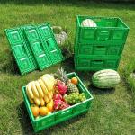 Plastic Fruit Storage Crate Baskets Vegetable Storage Folded 600x400x52mm