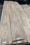 Crowm cut American Walnut Veneer Natural A/B Grade Thick 0.45mm