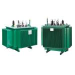 11kv 500kVA Electric Voltage Power Oil-Immersed Transformer