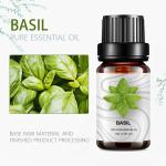 Massage OEM Essential Oil New ODM Basil Essential Oil Diffuser Cosmetics