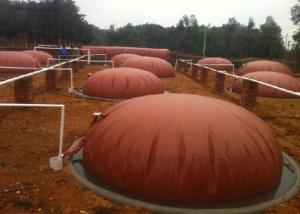 China Household Biogas Digester Tank Clean Energy Saving Biogas Reactor factory