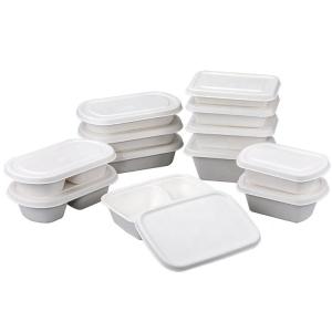 China Eco Friendly Compostable Sugarcane Pulp Disposable Take Out Containers factory