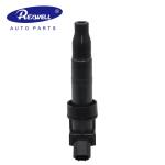 High Quality Auto Car Engine Ignition Coil Pack for Hyundai Ix35 Kia Sorento OE