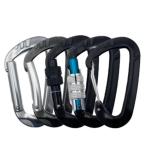 12kN Aluminum Climbing Gear Screw Locking Carabiner for Gym and Outdoor