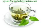 Water soluble Green tea P.E Total Tea Polyphenols 40% , natural antioxidant and