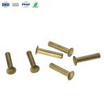 Flat Round Head Semi-Tubular Copper Rivets Screws High Precision Wholesale