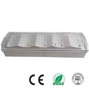 China Rechargeable Fire Retardant Waterproof Emergency Light with Battery Powered factory