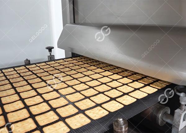 GG-BG800 380V Electric Gas Sandwich Biscuit Production Line, Biscuit Machine