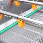 4000*1200*1300mm Fruit Vegetable Washer and Sterilizer Orange Fruit Washing