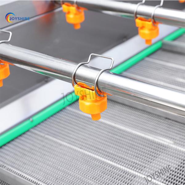 4000*1200*1300mm Fruit Vegetable Washer and Sterilizer Orange Fruit Washing