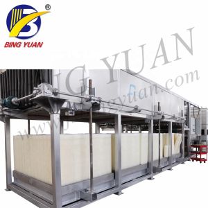 1TPD Block Ice Maker Machine
