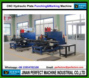 China China TOP Supplier CNC Hydraulic Plate Punching Machine Tower Manufacturing Machine (PP103) factory