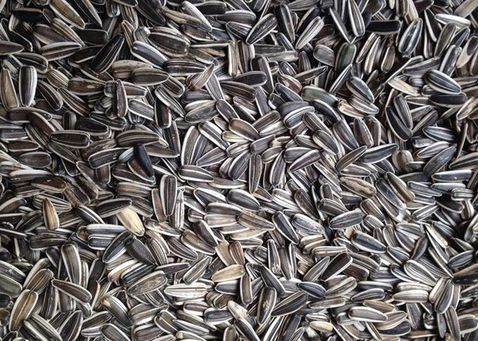 White Body Model S5 Sunflower Seeds Color Sorter Seeds Sorting Machine