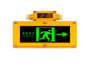 China Automatic Lighting Explosion Proof Emergency Light 0.3S Emergency Start factory