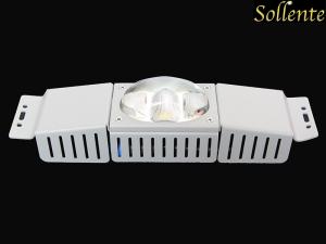 China Anti Glare 30w Street Light COB LED Modules With Waterproof Meanwell Driver factory