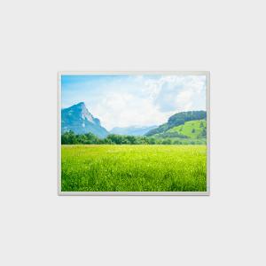 China LVDS 500nits High Brightness LCD Screen 19 Inch LCD Display 1280*1024 factory