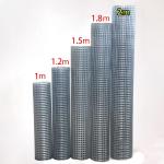 Galvanized Bird Cage Electro Welded Iron Wire Mesh Multifunctional