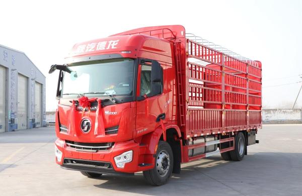 Fence Cargo Trucks Shacman M6000 4*2 Lorry Truck Weichai 245hp Engine 8 Speed