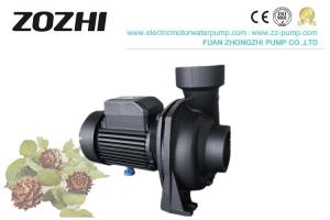 China NFM Series Centrifugal Water Pump 1.0hp 1.5hp 2.0hp 3.0hp For Gardening Irrigation factory