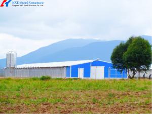 China Steel Structure Poultry Shed for Broilers and Layers factory