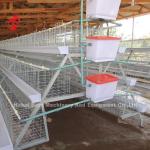 Deluxe 120 Birds Poultry Battery Cage System 5 Cells Galvanized Doris