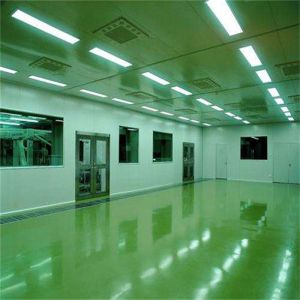 Dust Free Clean Room Sandwich Panel Customized PVC Floor