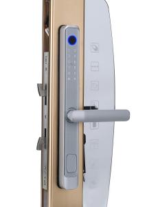China Home Electronic Fingerprint Sliding Door Safety Lock 2 Years Warranty factory