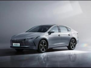 China Small Family Electric Car Byd EV Destroyer 05 with Automatic Gearbox and Big Discounts factory