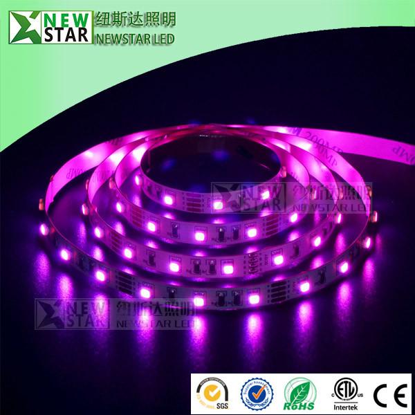 3825 RGB red blue green 3 colors in one LED SMD3528 RGB full color dc12v 24v