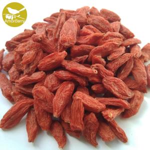 China Amorberry China NingXia dried Goji berry for tea or medicine use OEM Goji barries nutrient supplements Bulk wholesale factory