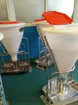 Stainless Steel And Plastic Automatic Pig Feeder , Wet Dry Hog Feeders