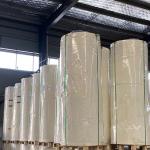 Ecofriendly Paper Cup Bottom Roll Food Grade PE Coated For Beverage Cup