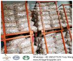 Garlic to Israel with 10kg carton box.Supermarket package.