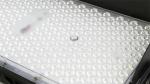 Triac Dimmable LED Stadium Light With High Thermal Conductivity Aluminum