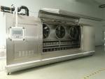 Conveyor Fast Freeze Freezer Seafood Commercial Blast Chiller