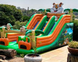 China Tiger Double Side Inflatable Jump Bouncer Adult Bouncy Castle on sale