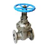 Y Type DN80 PN16 Carbon Steel Industrial Rising Stem Flange Gate Valve with Pipe