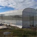 anti insect netting manufacturer