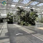 Strong Metal Frame Greenhouse Automatic Systems Solar Energy Green House