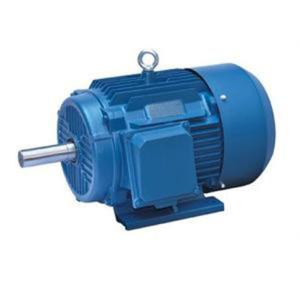 China Two Pole Meet 3 Phase Induction Motor IEC34-1 And JB/T9616-1999 Standard factory