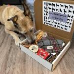 15'' 20'' 25'' Dog Birthday Treat Box Delivery For Corgi Pitbull