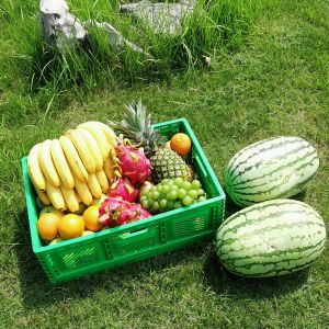 Foldable Mesh Crates For Vegetable Collapsible Plastic Shipping Crates