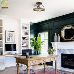 Used For Home/Hotel Hot Sale Nordic Style Black Iron Ceiling Light