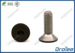 18-8/316 Stainless Steel Brown Painted Head Socket Cap Screw
