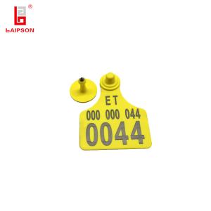 China 80MM 62MM Medium UV Resistant Calf Ear Tags factory