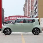 Pure Electric 48 Horsepower ORA White Cat 305km Range 4-Seater Hatchback Energy